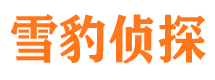 诏安侦探公司